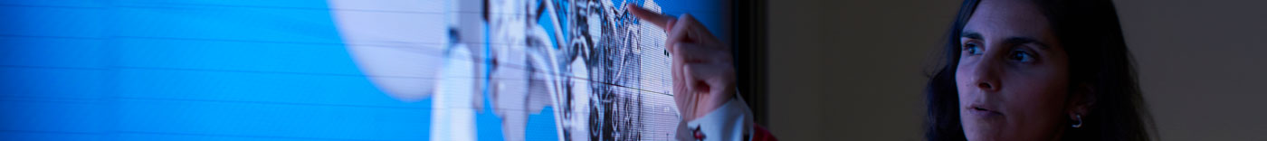 Bild zu Global Head of Cyber Security Strategy & Enterprise Architecture